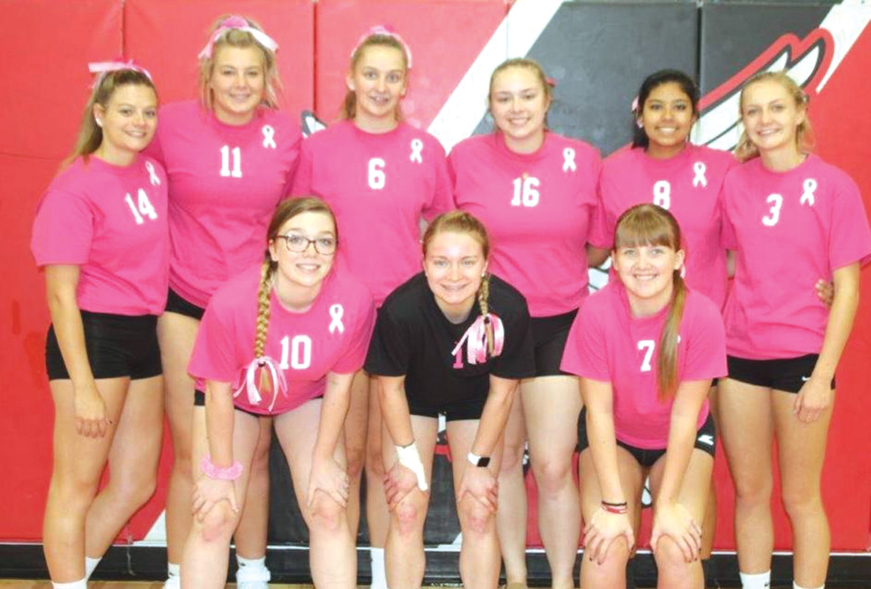Hustisford pink team
